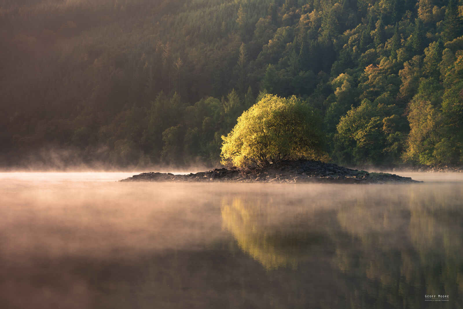 Morning Light