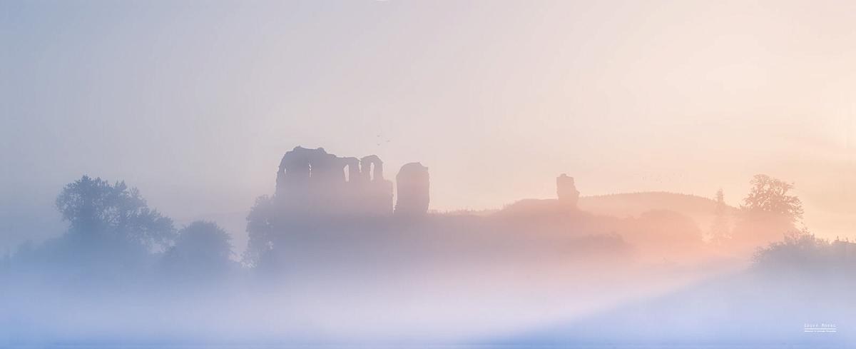 Pigeons of Clun Castle