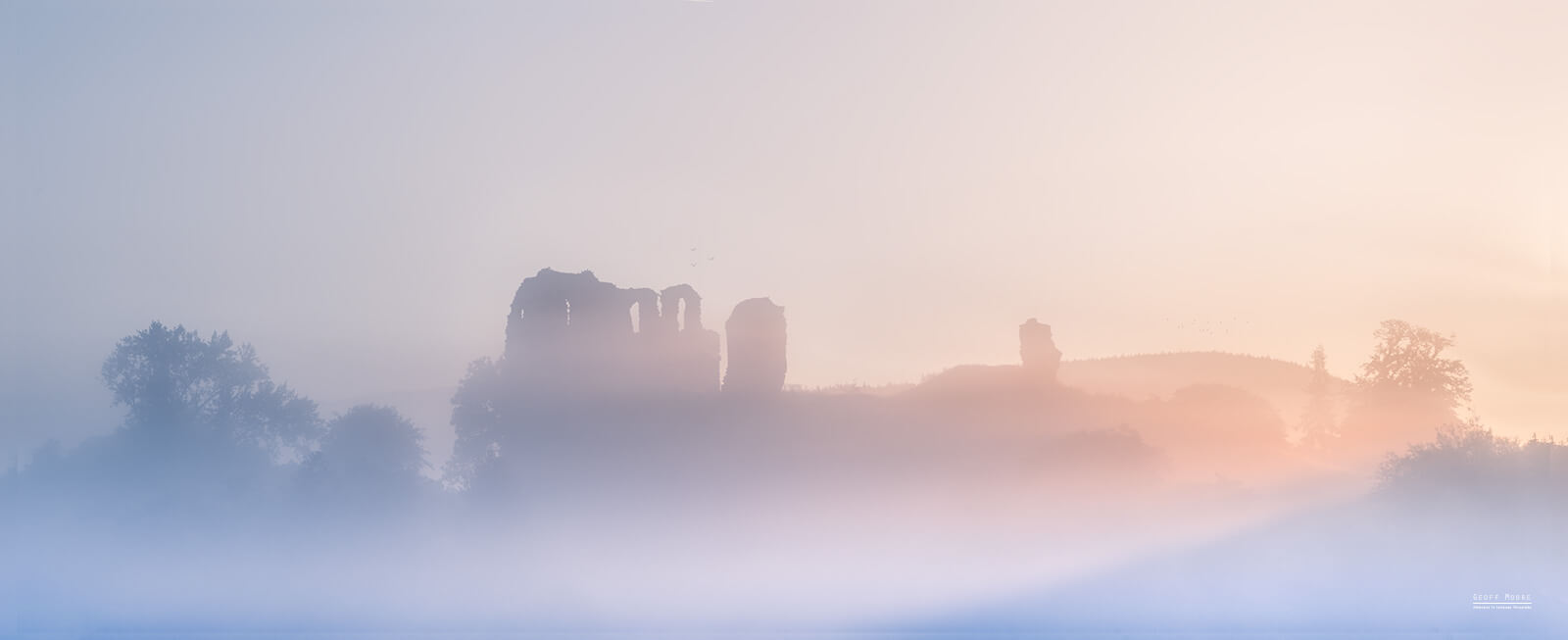 Pigeons of Clun Castle