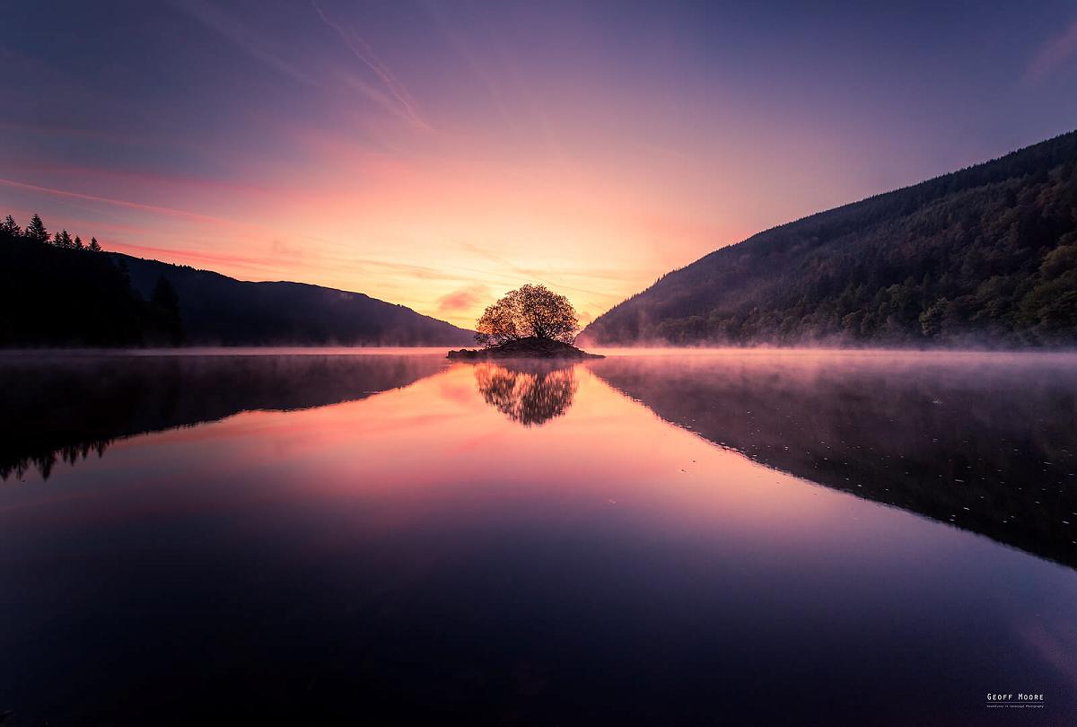 The Lone Tree Of Lake Vrnmy