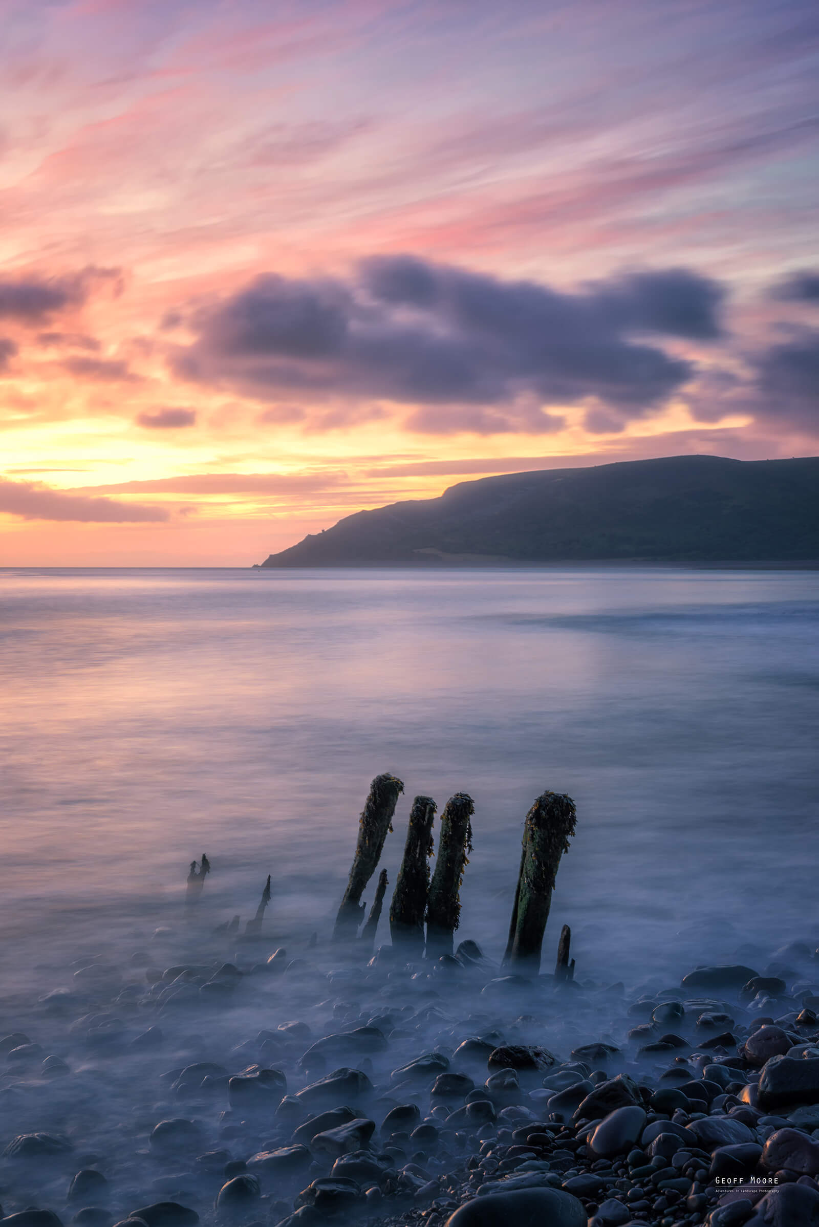 Porlock Pinks
