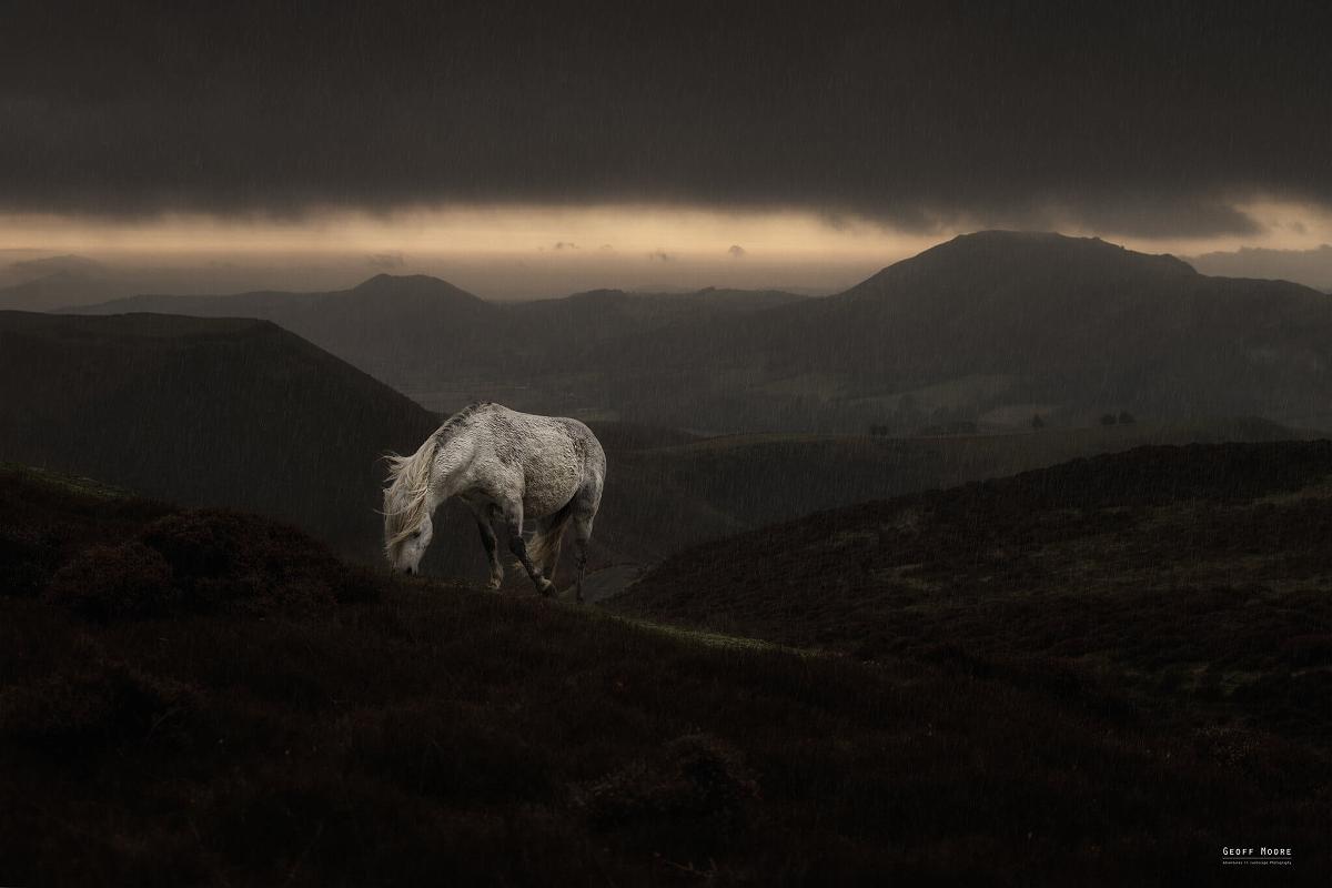 Shropshire White Horse