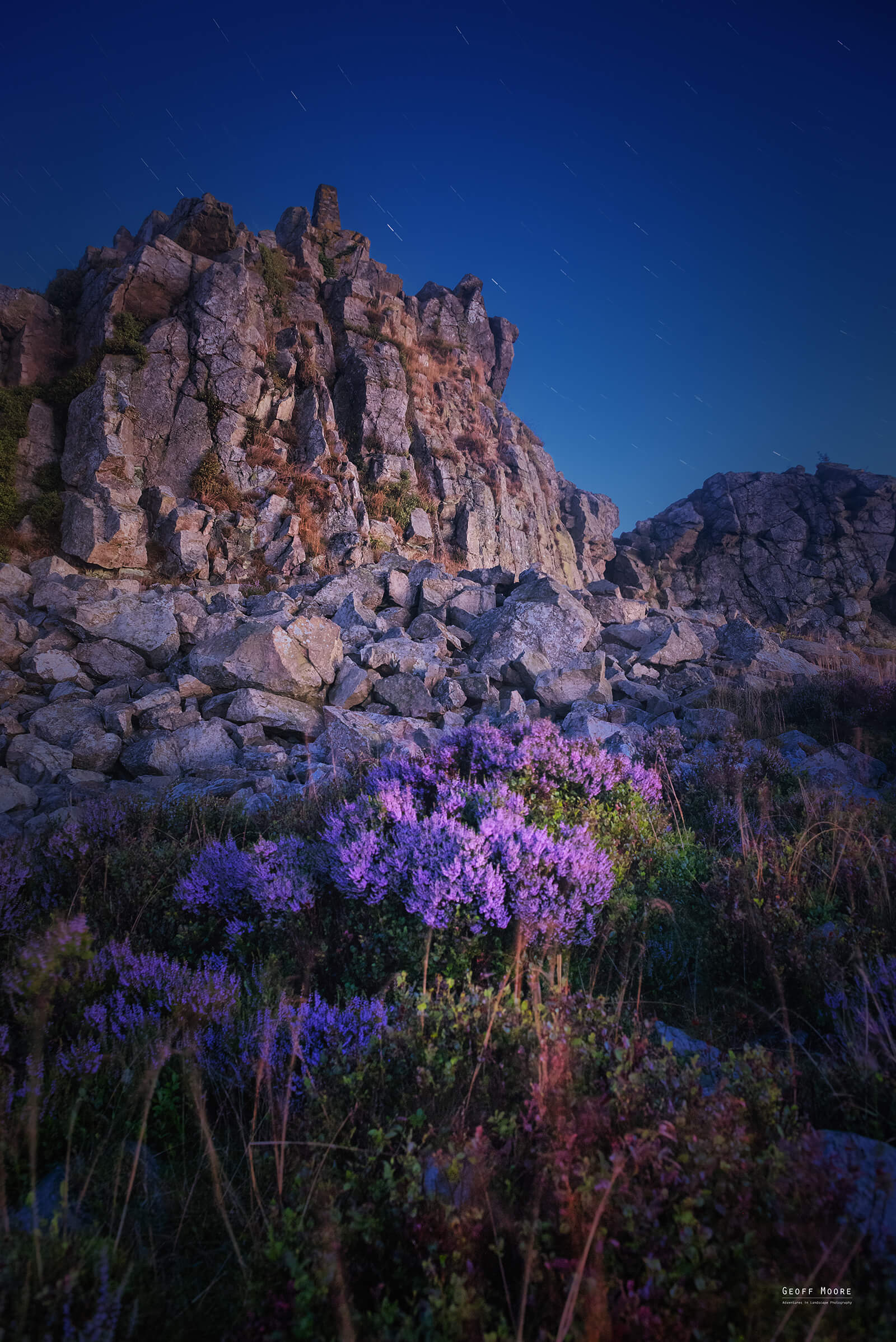 Twilight Heather Twilight Heather