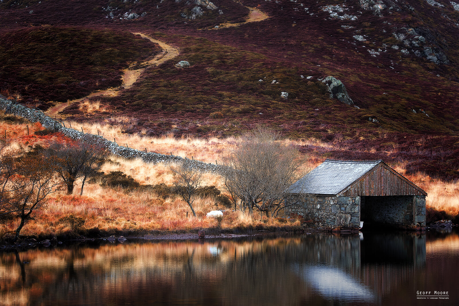 The Boat House The Boat House