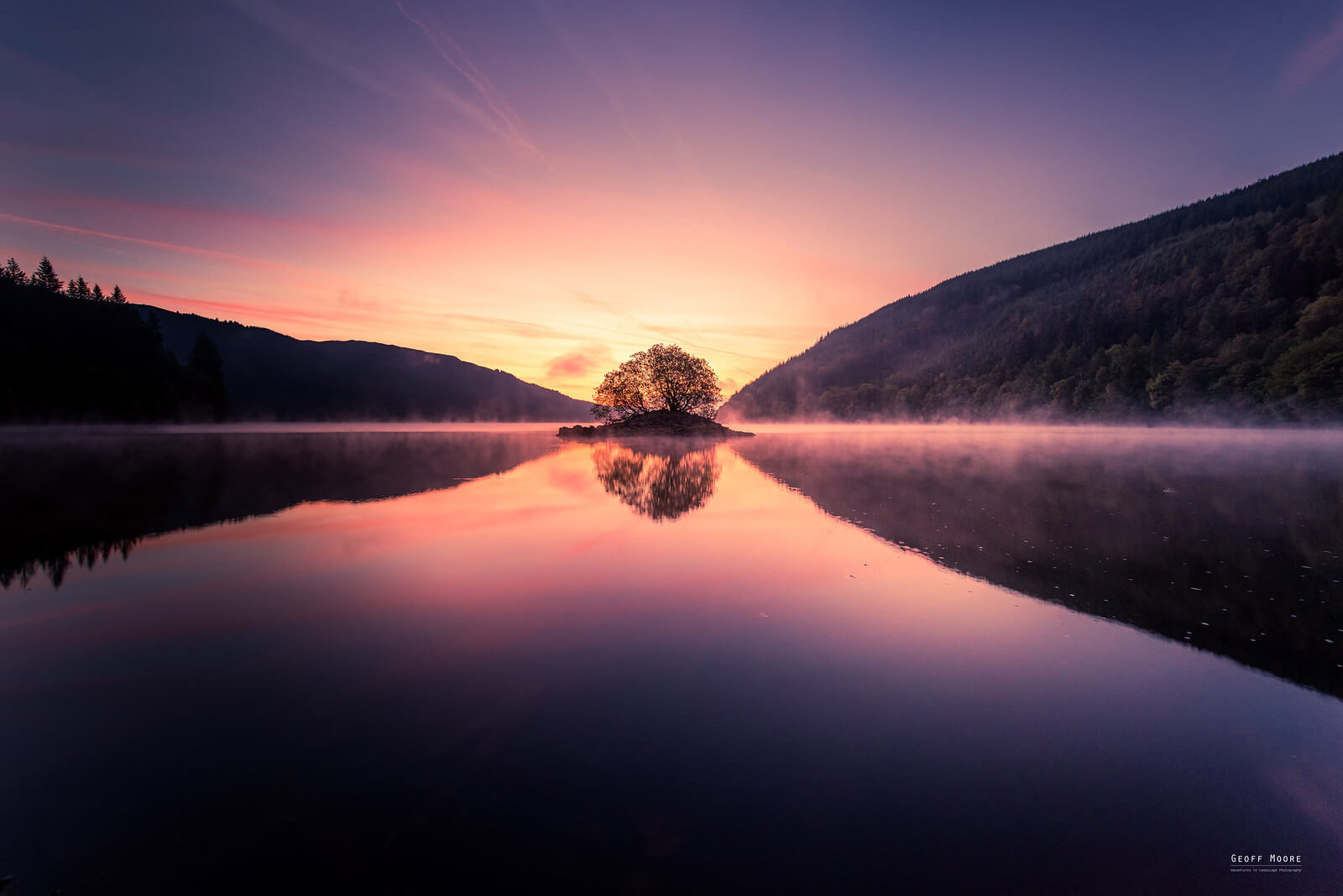 The Lone Tree Of Lake Vrnmy