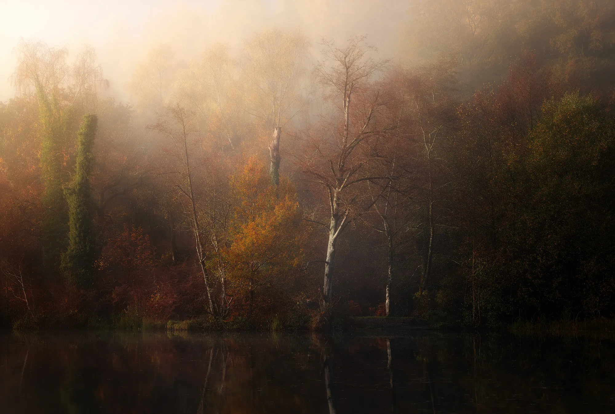 Turners Autumn