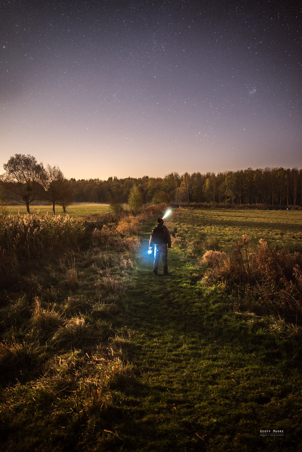 Wetlands Moonlight Stroll Wetlands Moonlight Stroll