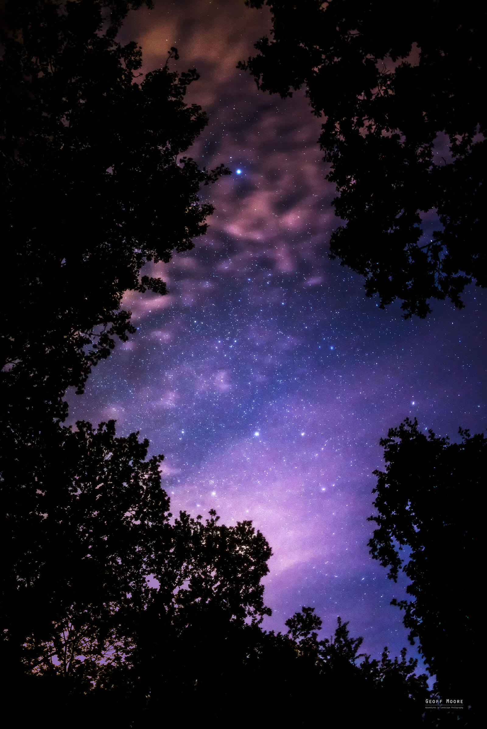 Interstellar Woodland Interstellar Woodland