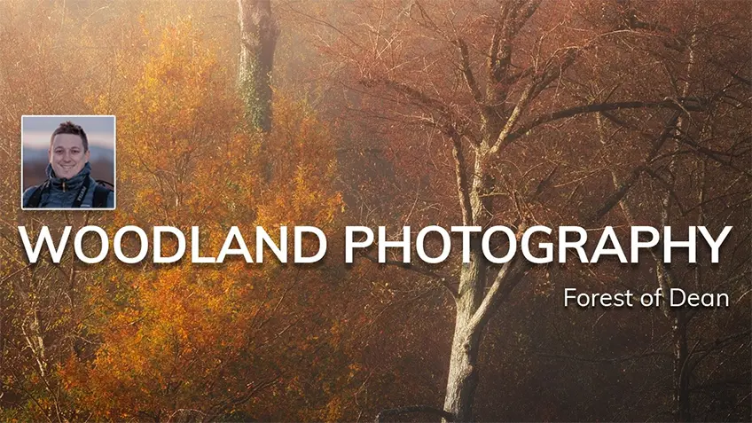 Woodland Photography video from the Forest of Dean