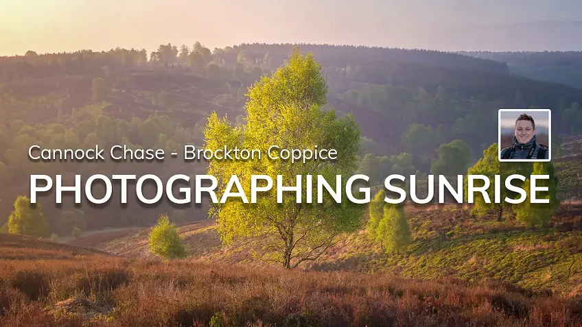 Photographing Sunrise at Brocton Coppice on Cannock Chase